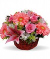/album/gerberas/mi-ternura-950-jpg/